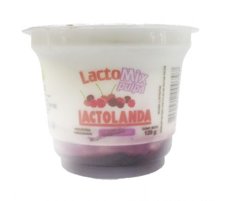 POSTRE LACTOMIX PULPA FRUTOS ROJOS LACTO POTE 120G