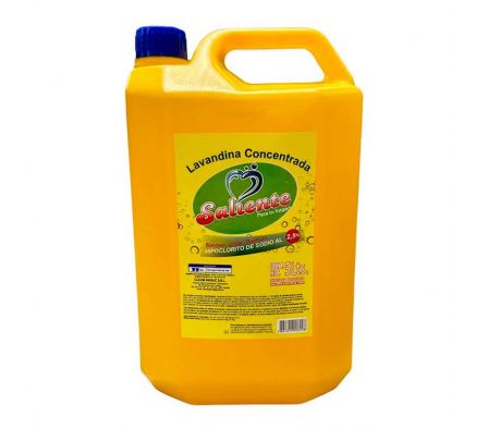 LAVANDINA SALIENTE DE 5L (4)