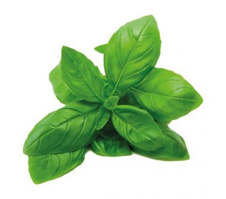 ALBAHACA X UNIDAD(12)