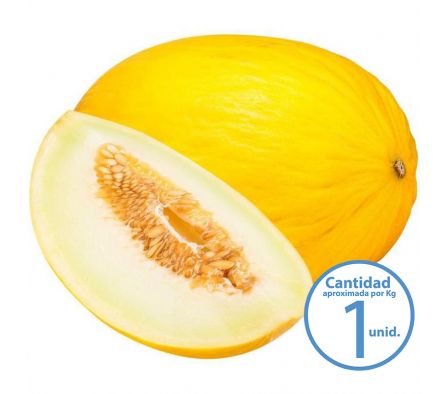 MELON BRASIL X KILO