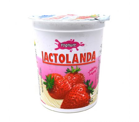 YOGUR ENTERO FRUTTI GURT FRUTILLA LACTOLANDA 350GR